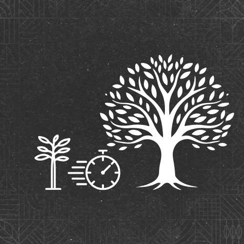 trees-growing-faster-v1.0-1.jpg
