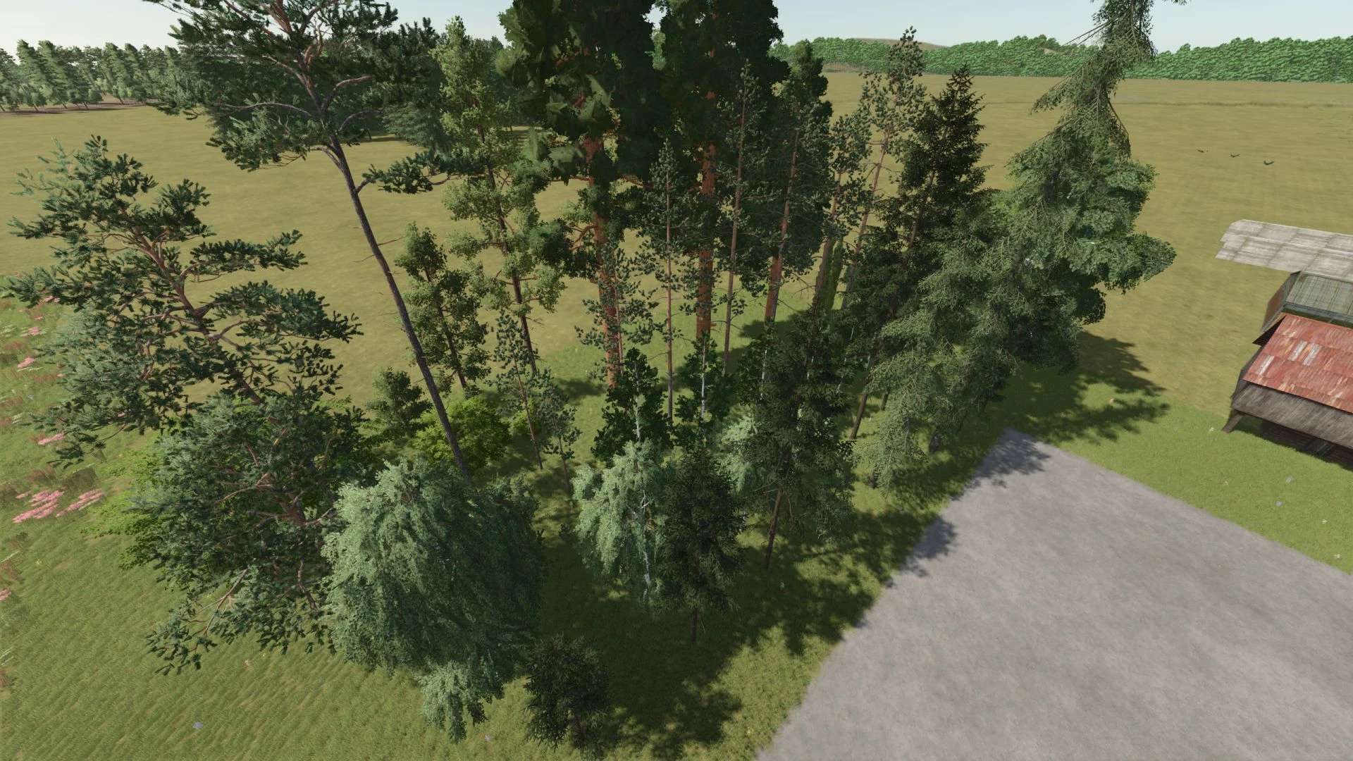 New-trees-types-new-tree-limit-v12.jpg