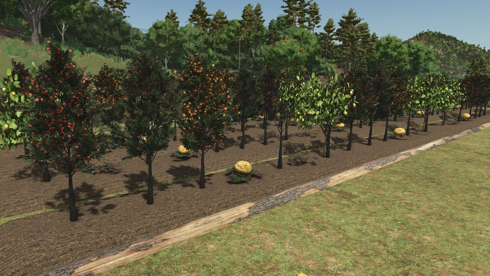 Fruit-orchards-V11.jpg