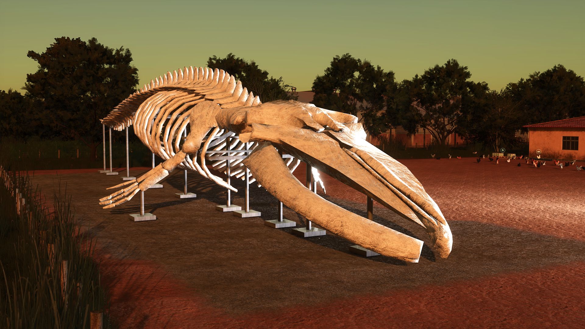 Whale-skeleton-V10.jpg