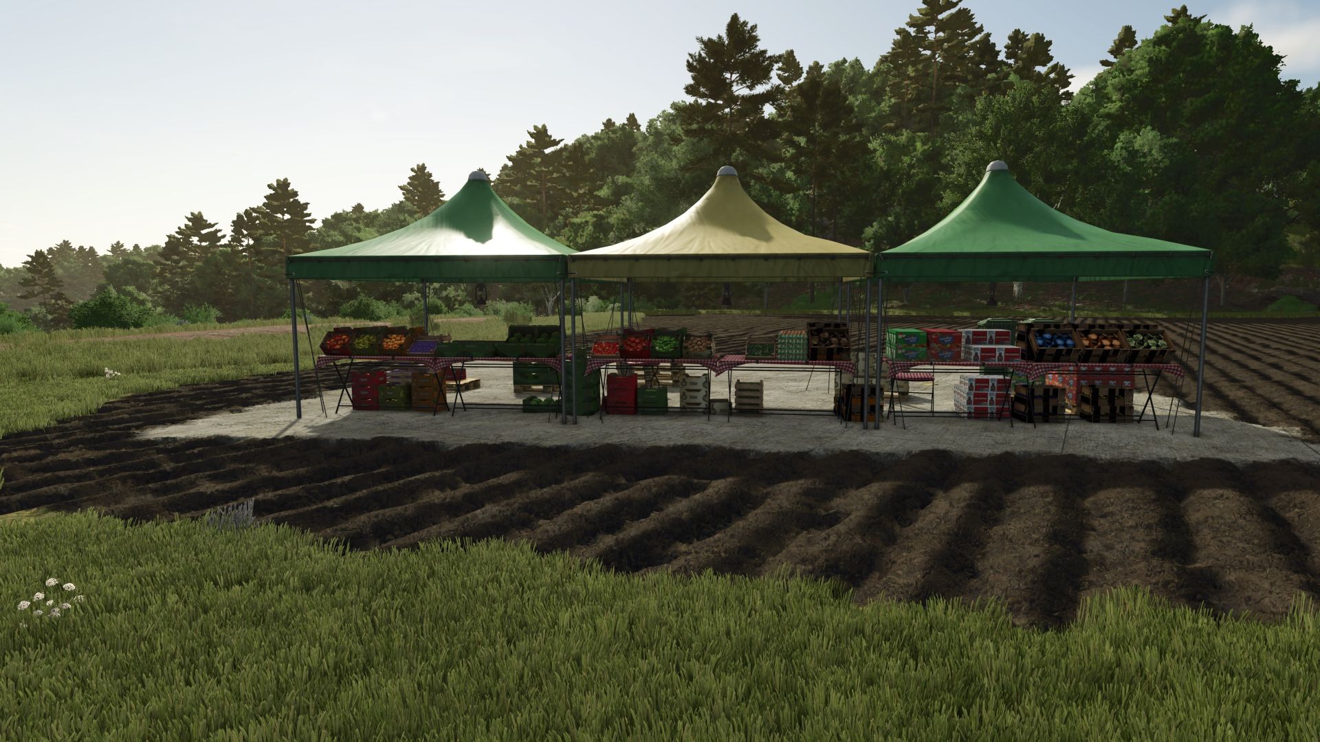 Farm-Market-V1016.jpg